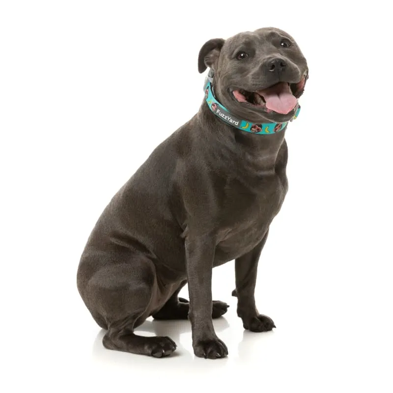 [15% OFF] Fuzzyard Gor-illz Dog Collar (3 Sizes)