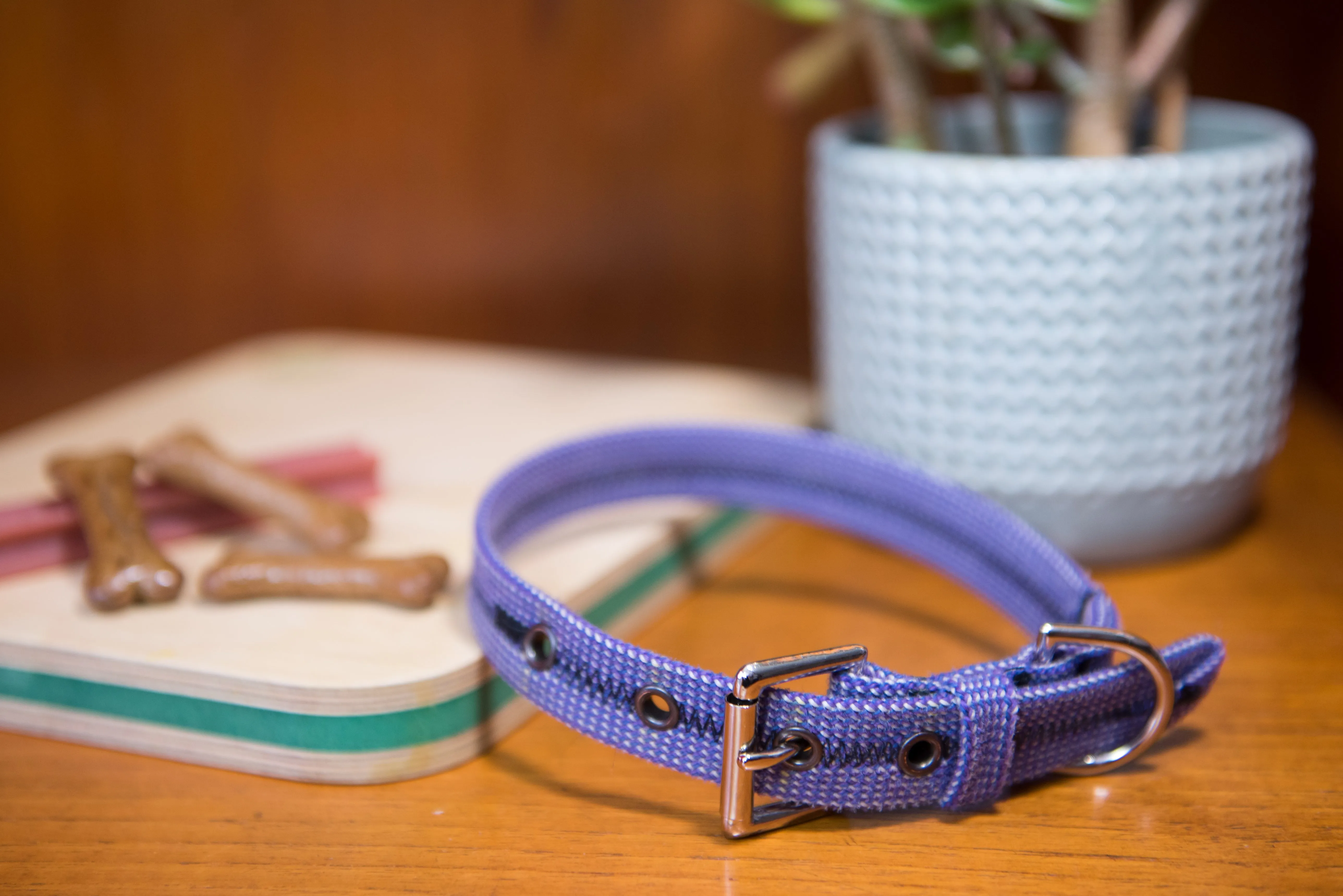 Dog Collar 0057