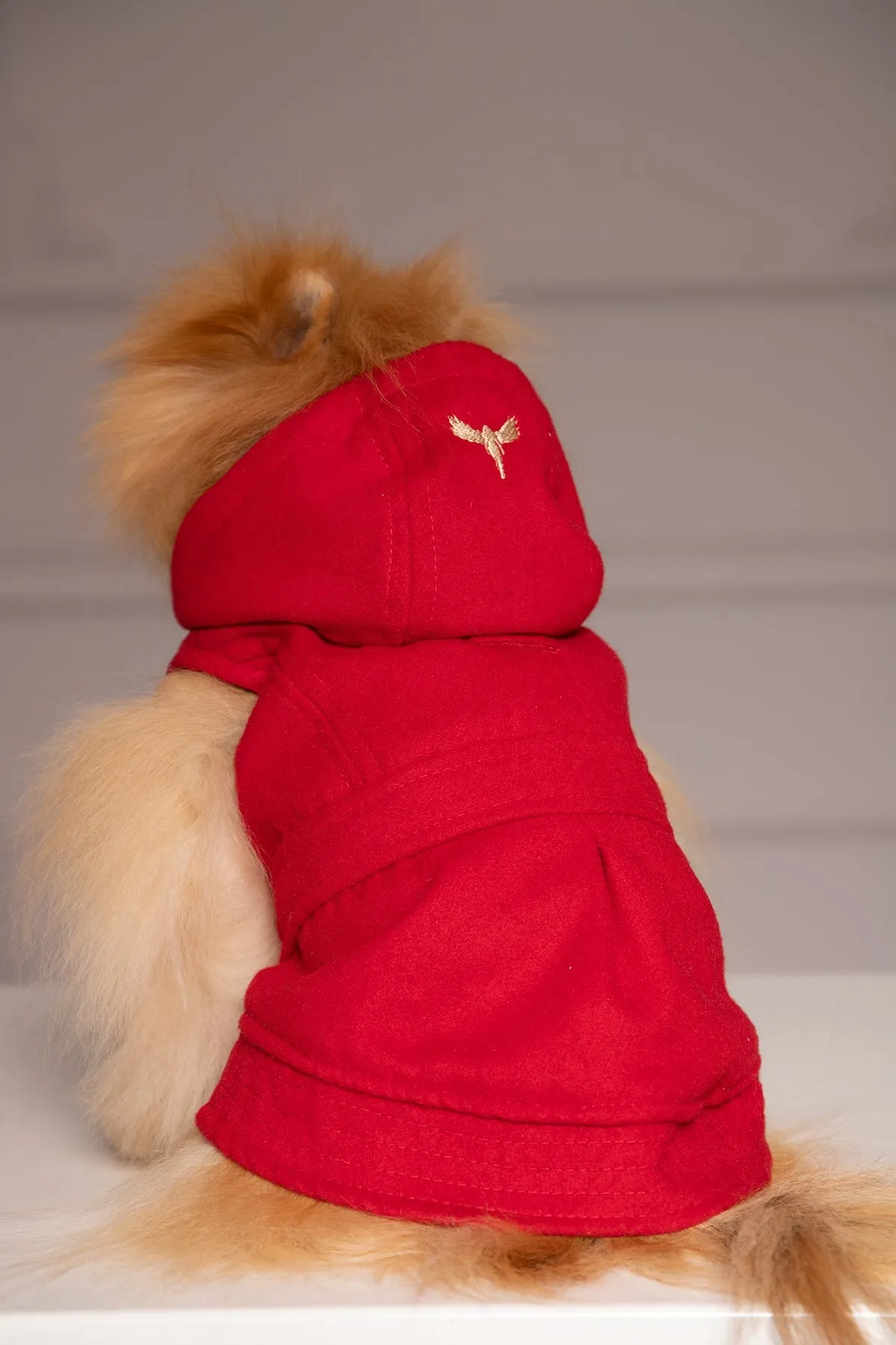 DOG HOODED ZIPPER COAT