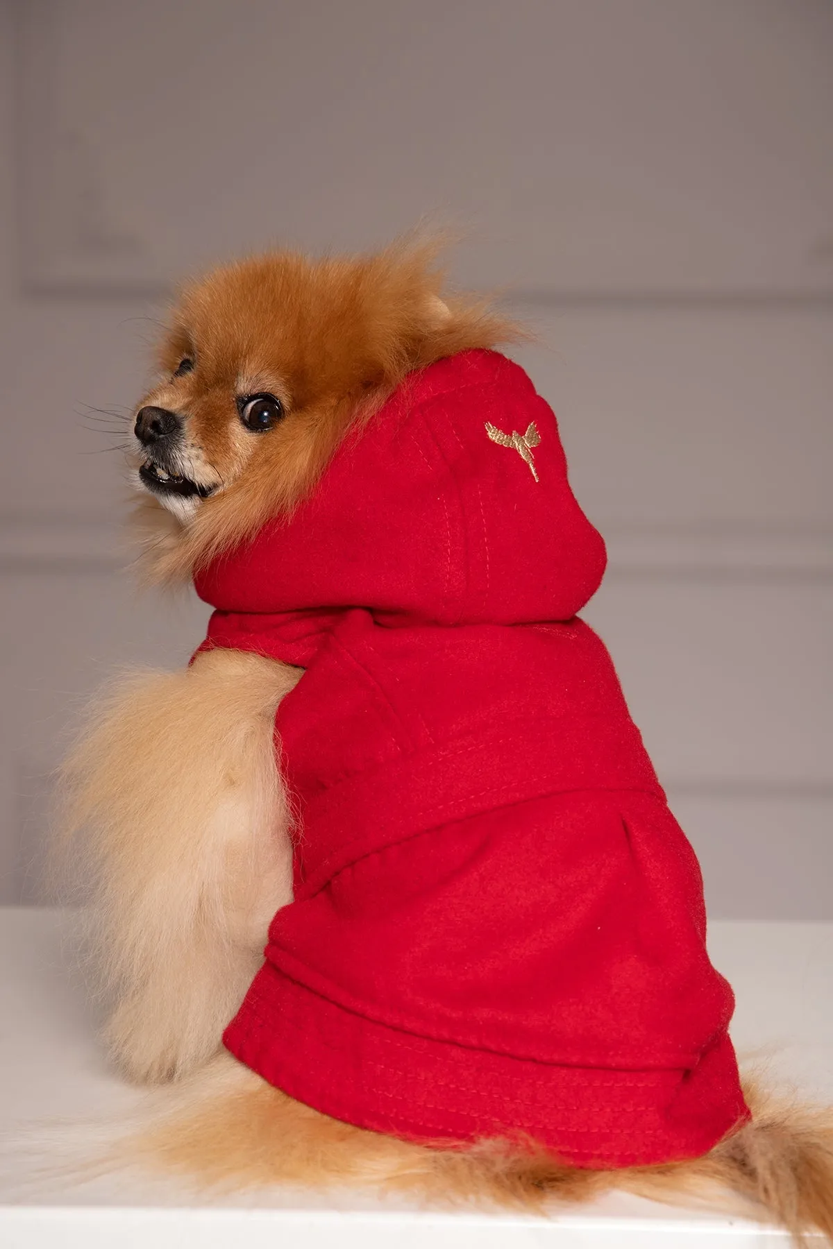 DOG HOODED ZIPPER COAT