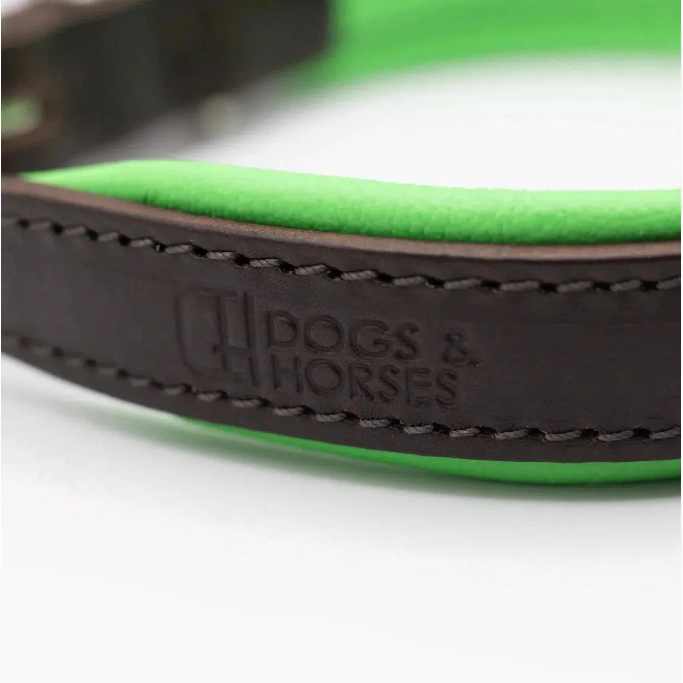 Dogs & Horses Padded Leather Dog Collar -  Green & Brown