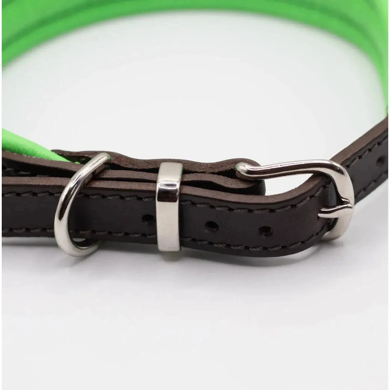 Dogs & Horses Padded Leather Dog Collar -  Green & Brown