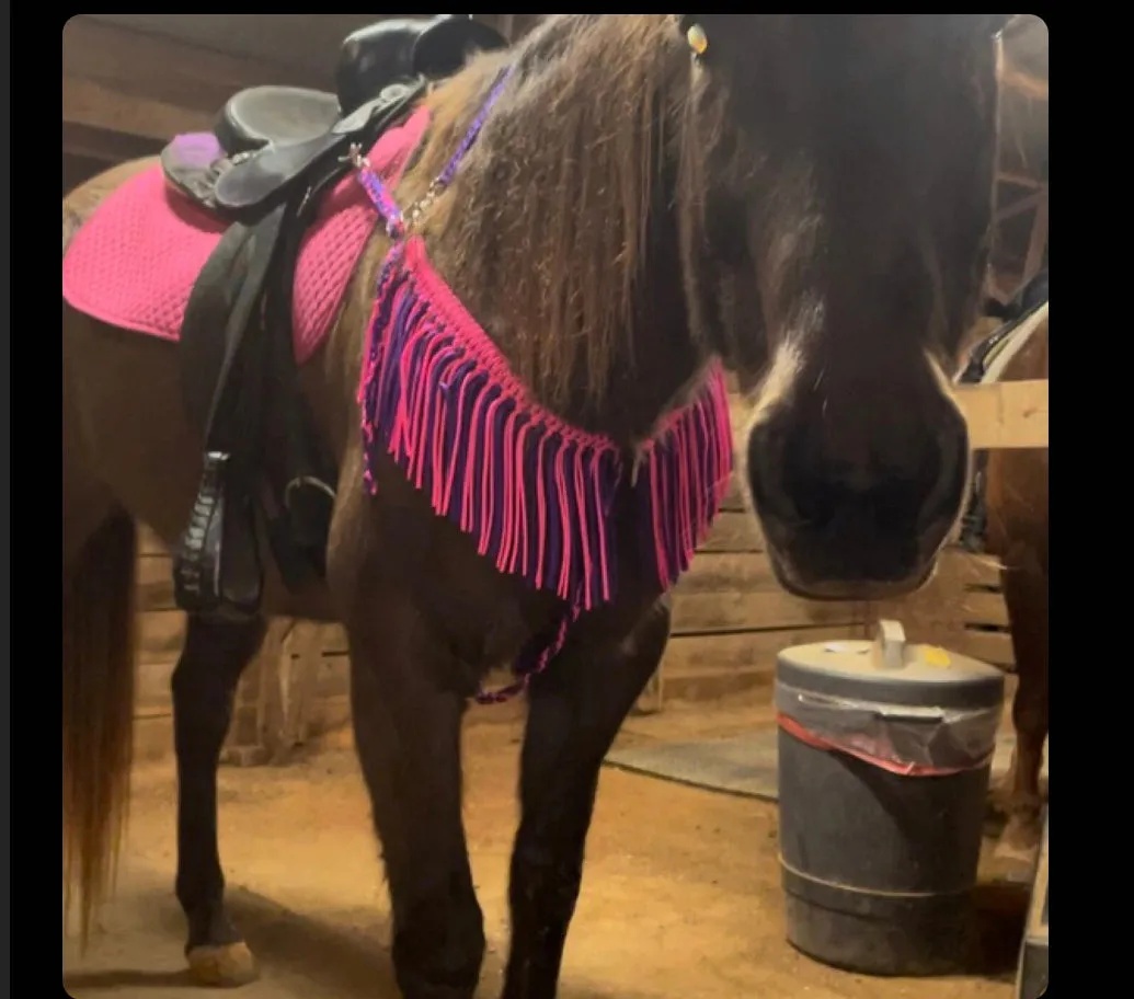 Hot Pink and Purple fringe breast collar with  wither strap