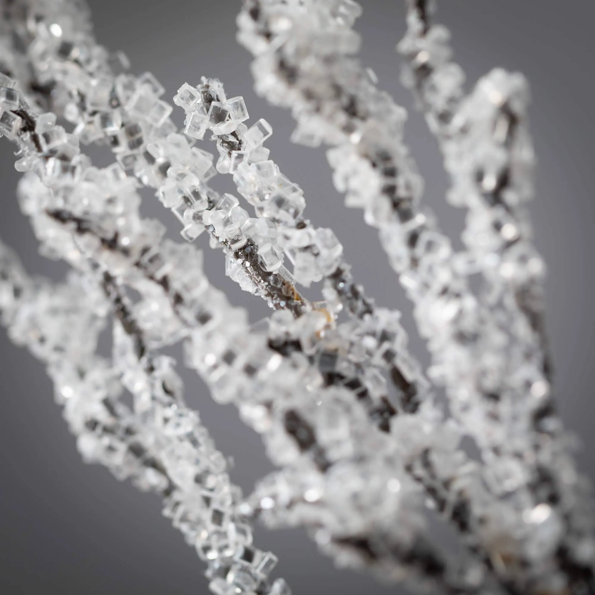 Icy Twig Spray