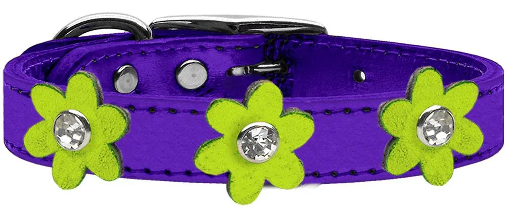 Metallic Flower Leather Collar Metallic Purple With Metallic Lime Green Flowers Size 14