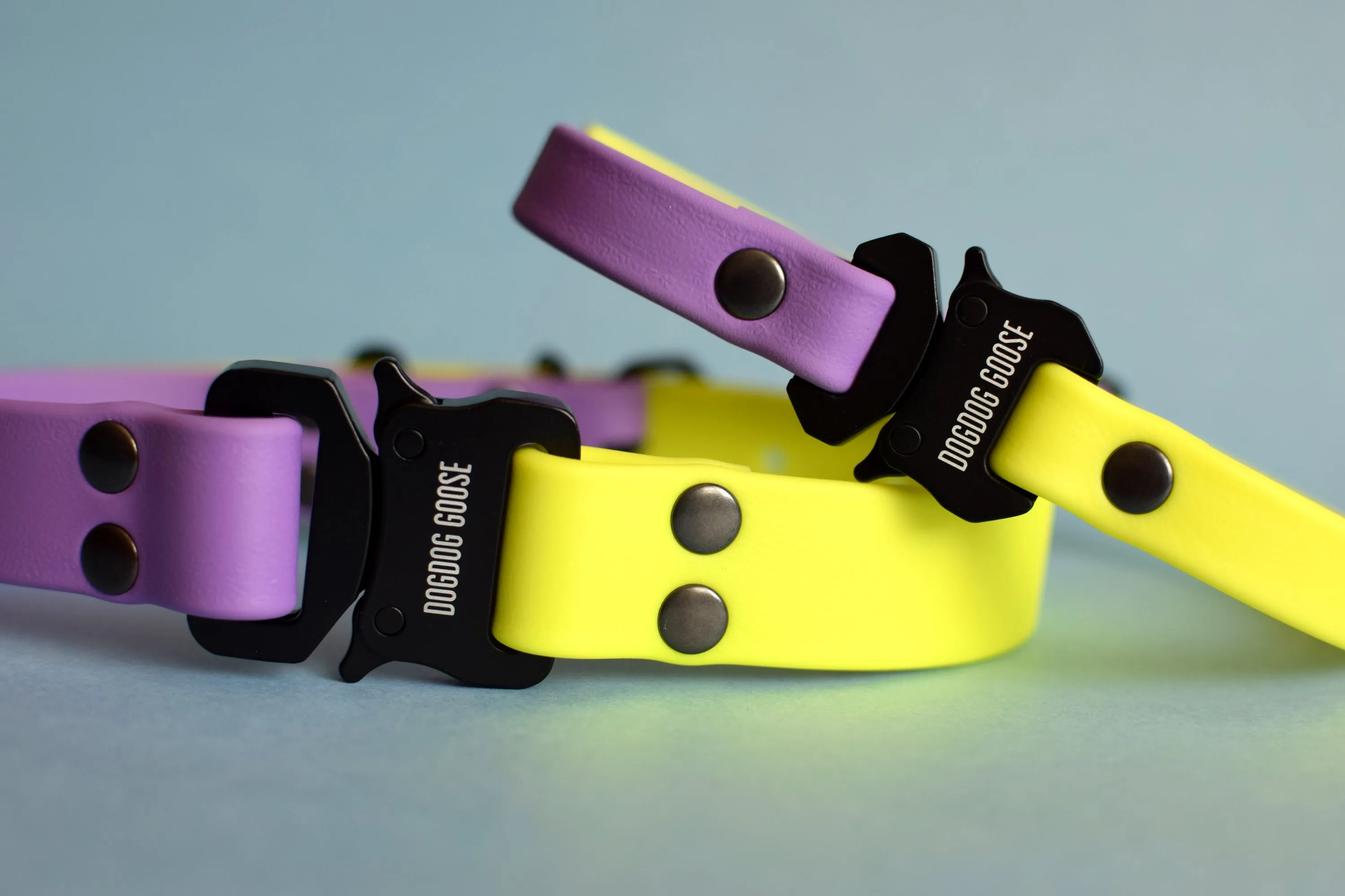 PREMADE COLLECTION - Amethyst & Neon Yellow with Black Biothane Dog Collar