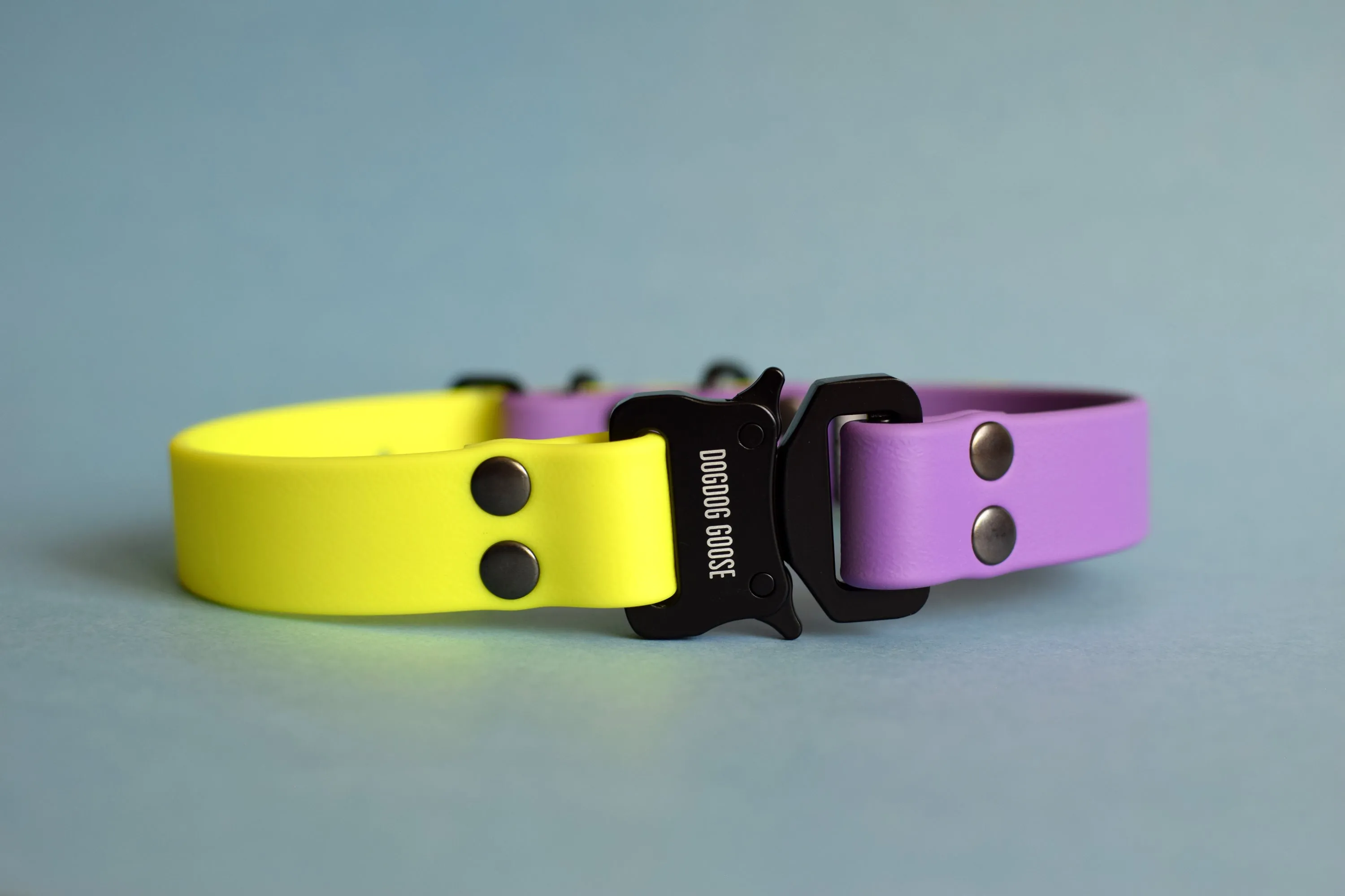 PREMADE COLLECTION - Amethyst & Neon Yellow with Black Biothane Dog Collar