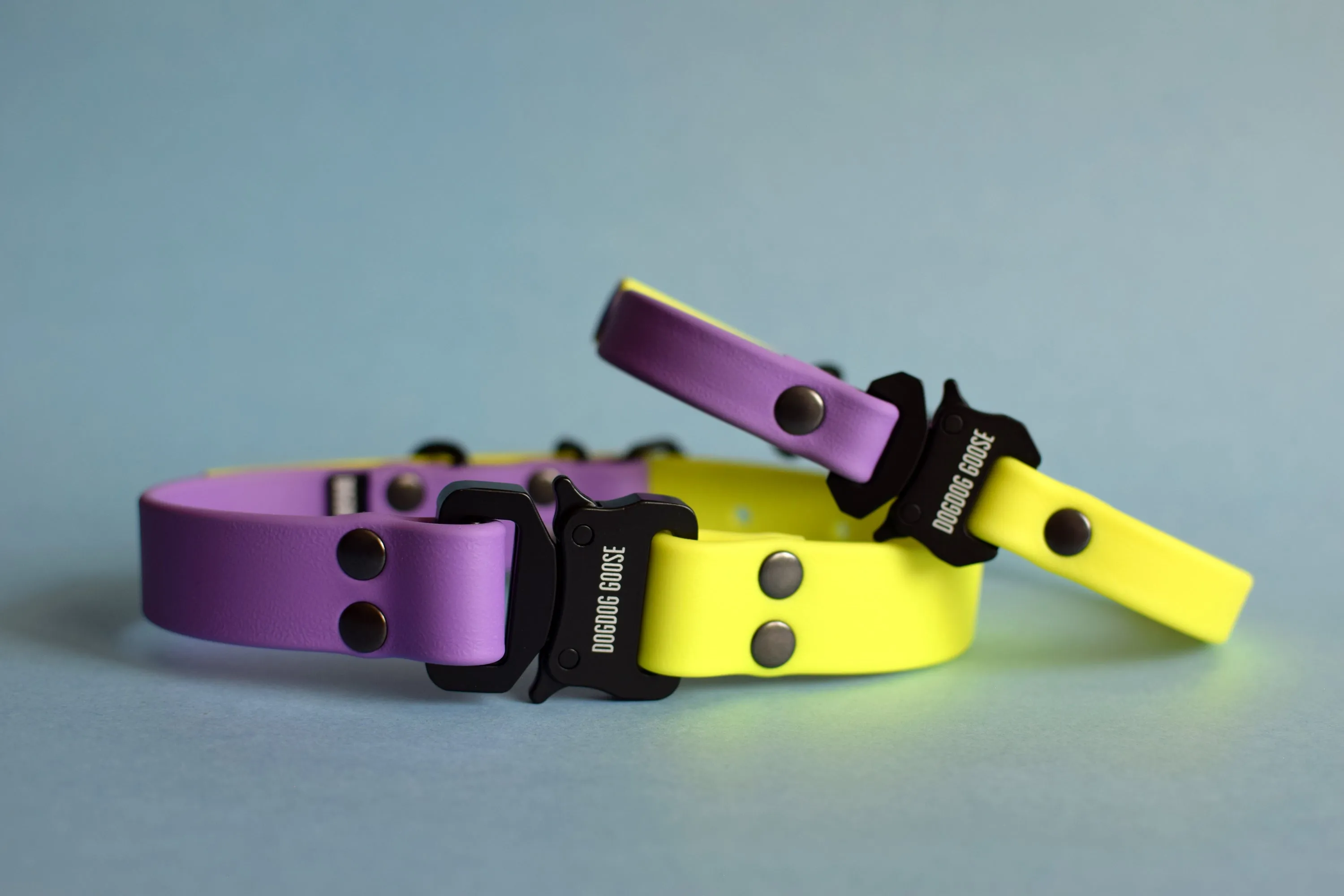 PREMADE COLLECTION - Amethyst & Neon Yellow with Black Biothane Dog Collar