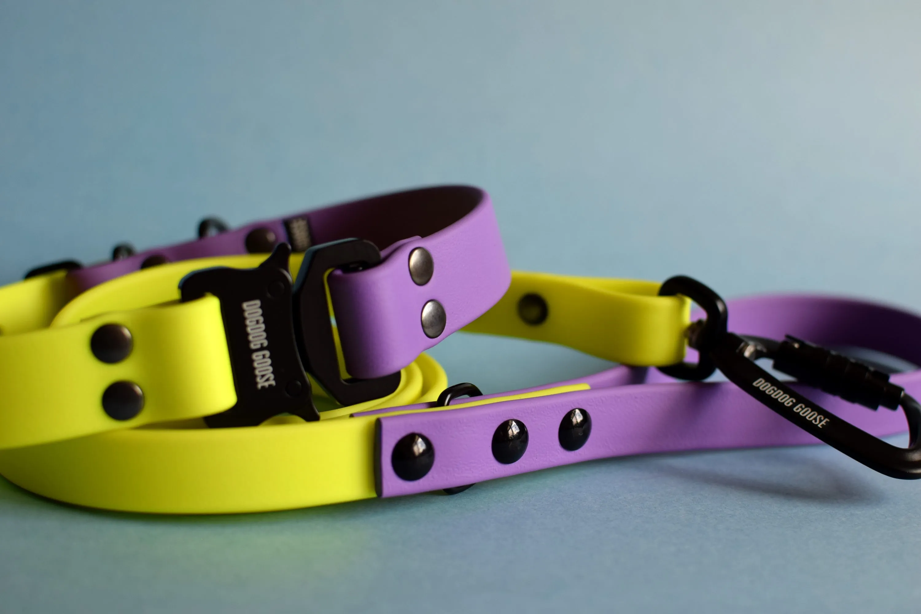 PREMADE COLLECTION - Amethyst & Neon Yellow with Black Biothane Dog Collar