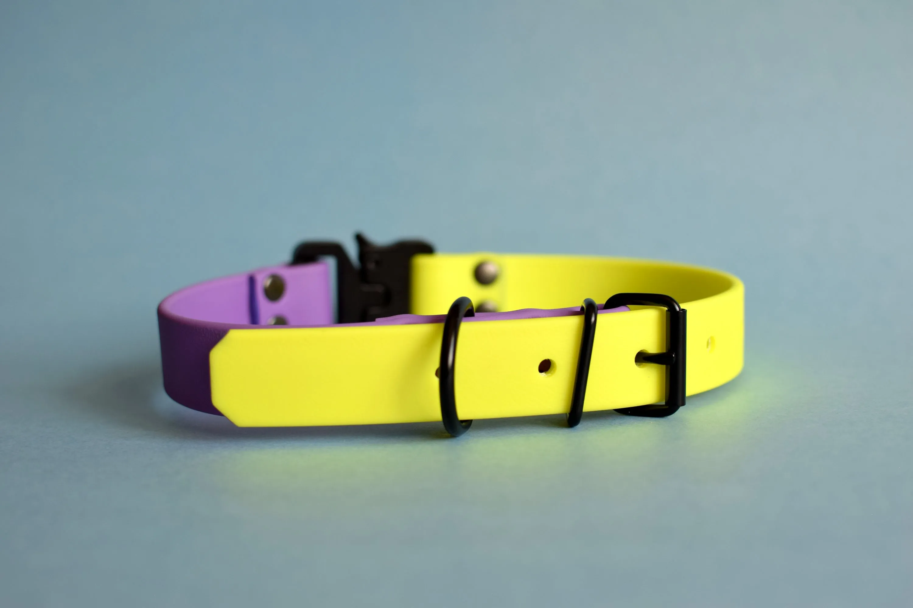 PREMADE COLLECTION - Amethyst & Neon Yellow with Black Biothane Dog Collar