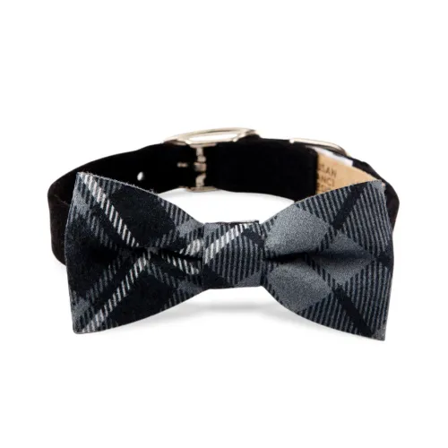 Scotty Bow Tie Collar — Black   Charcoal Plaid