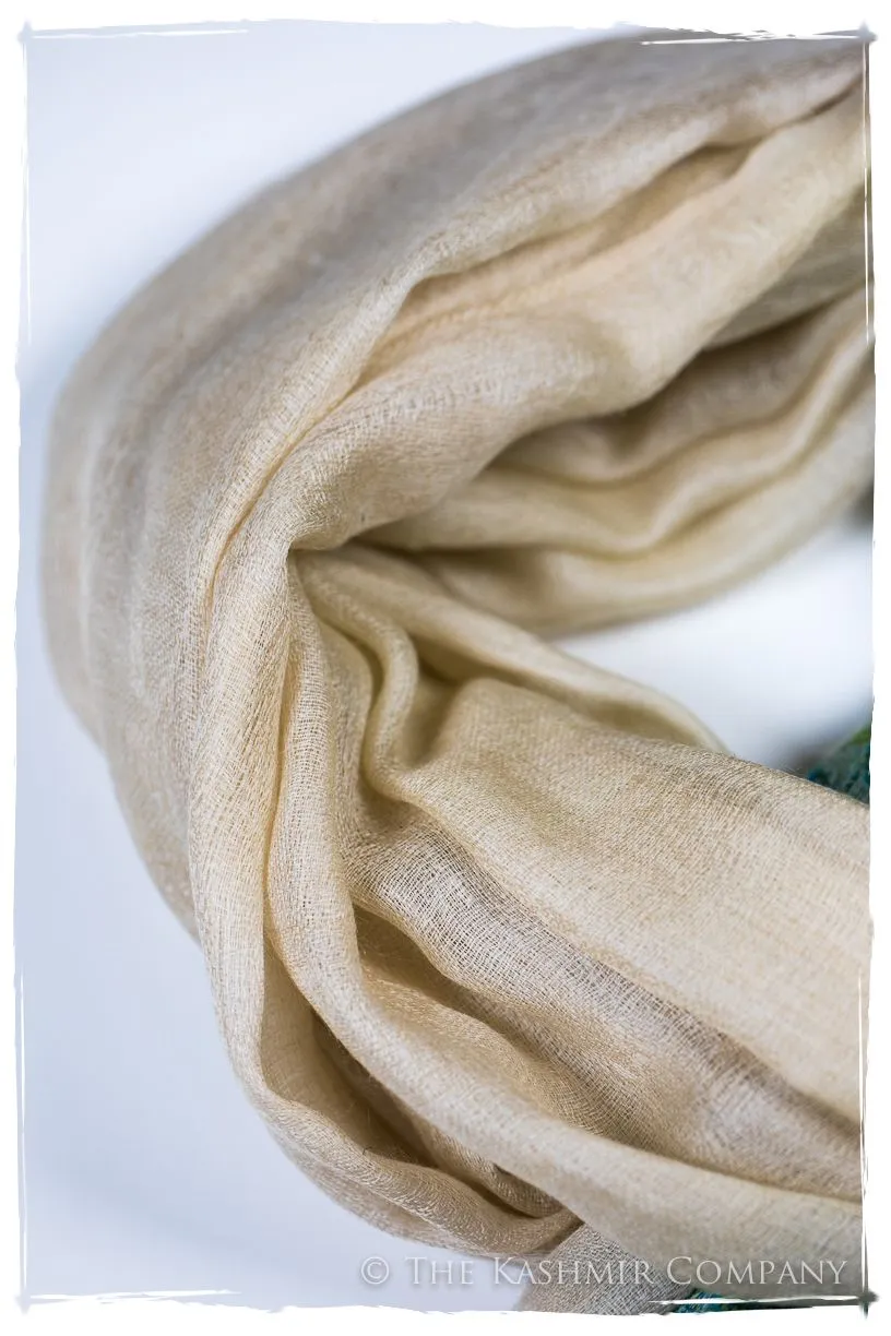 Serafina Paisley Frontière Pashmina Cashmere Scarf