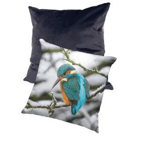 Winter Kingfisher Cushion