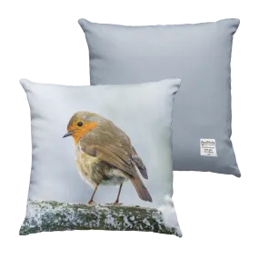 Winter Robin Cushion