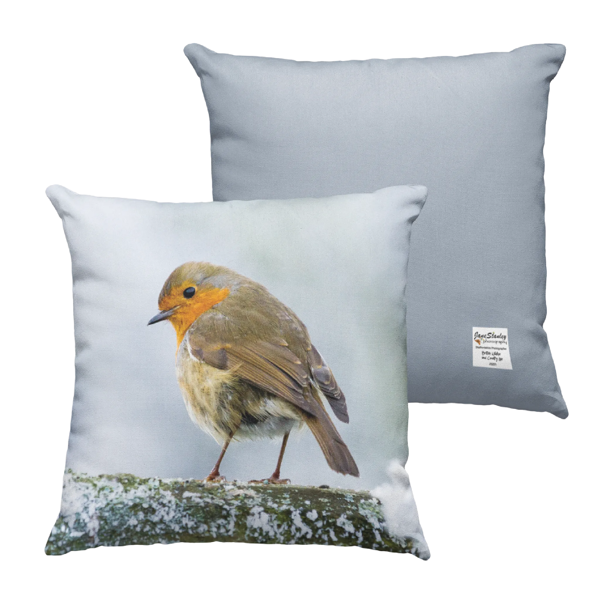 Winter Robin Cushion